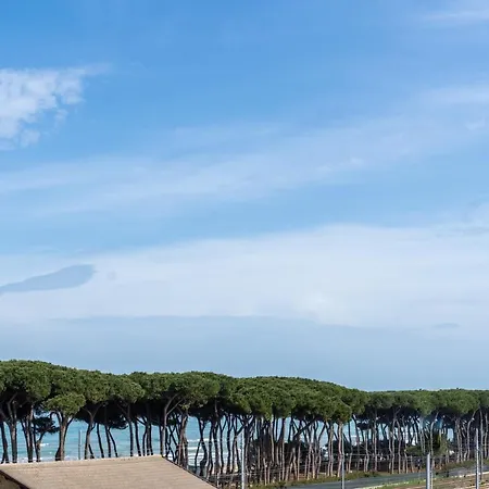 Отель La Pineta Пинето