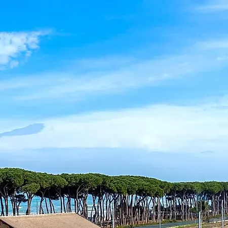 La Pineta