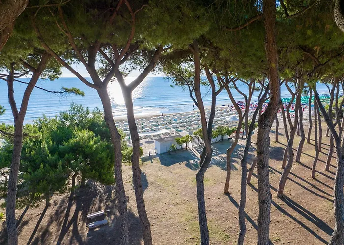 La Pineta Hotel Pineto